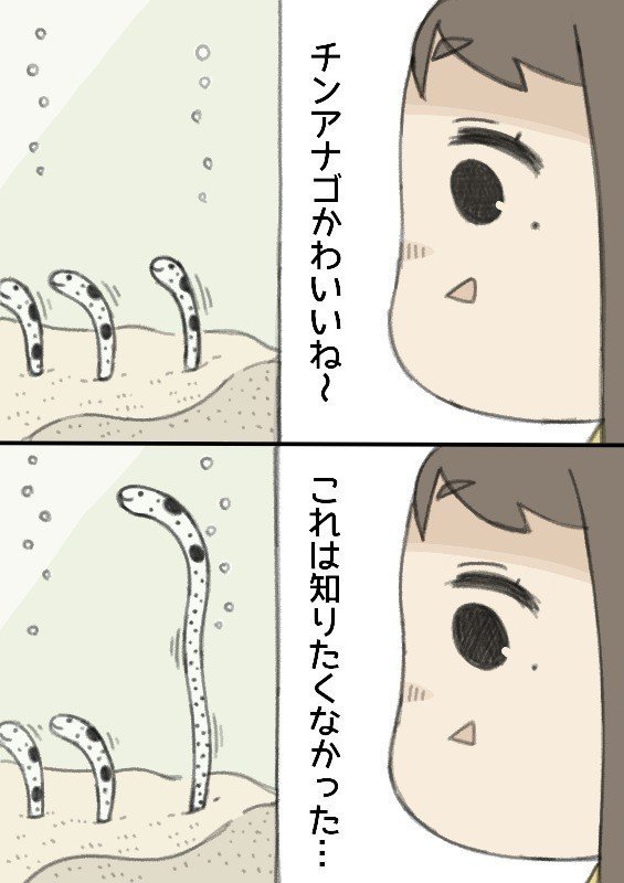 チンアナゴさん Icon315 Note チンアナゴさん Icon315 Note