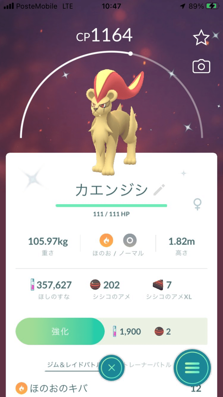シシコの色違い再び Kazusachallenge33 Note