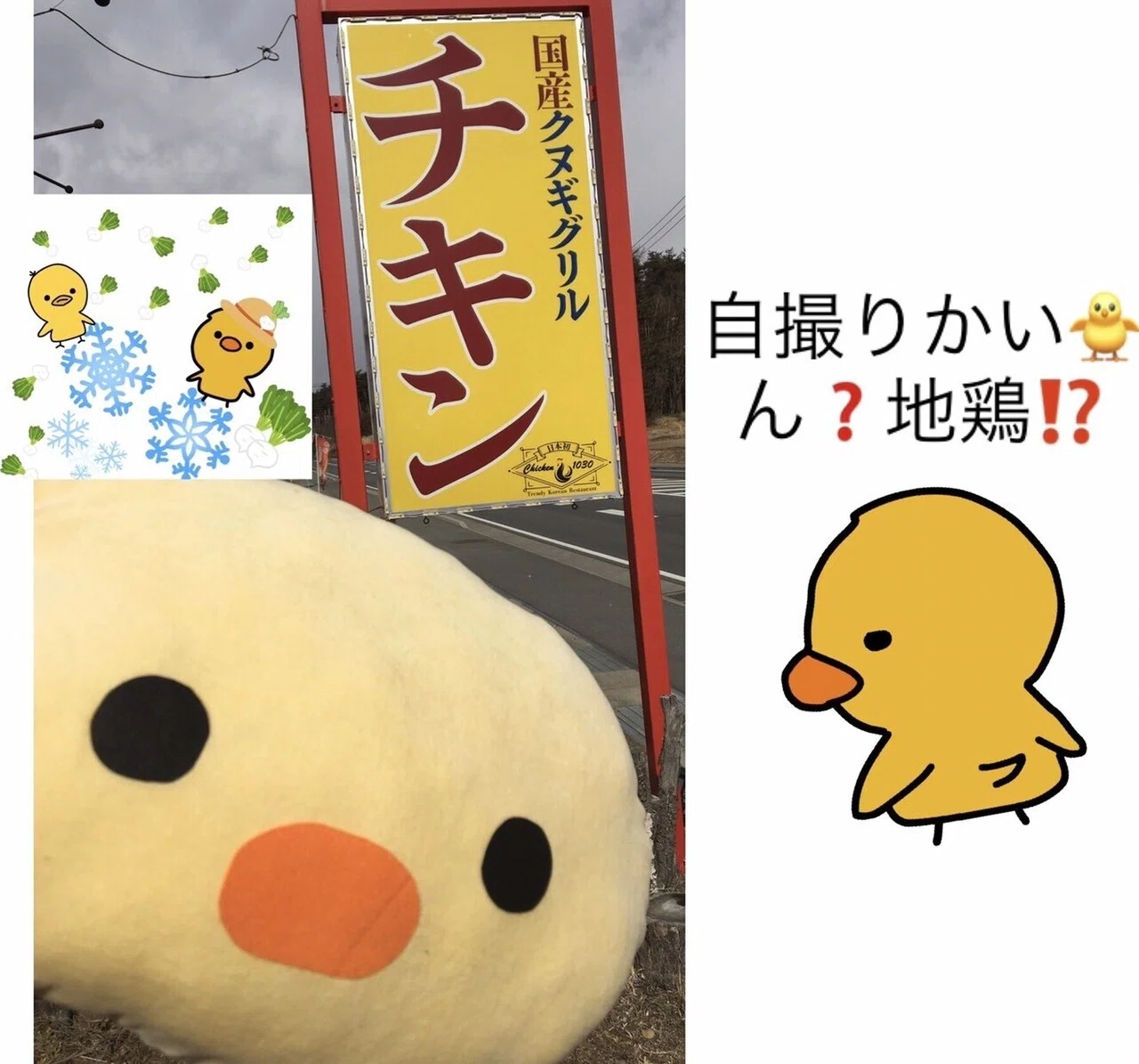 画像1