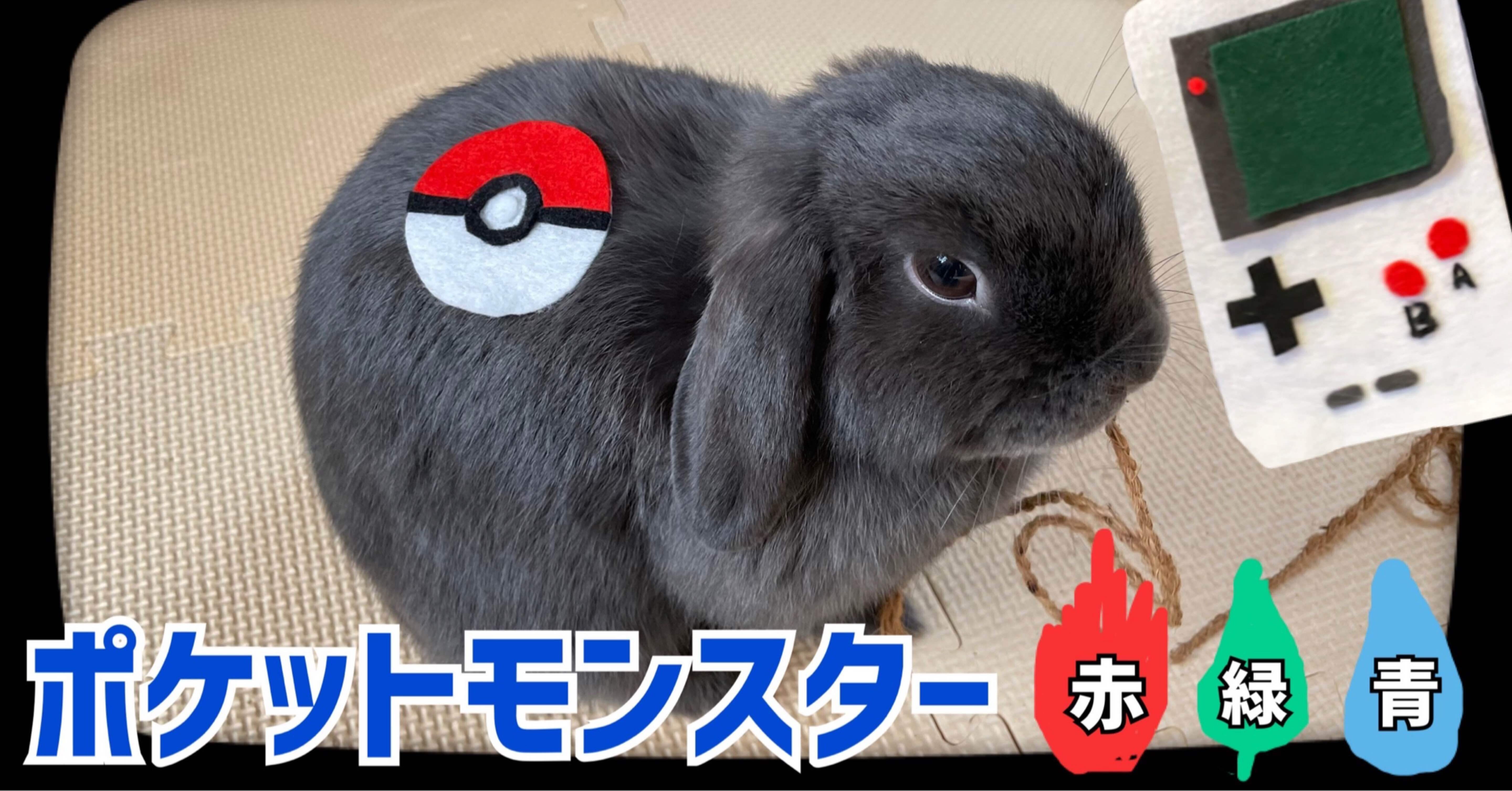 ポケットモンスター赤 緑 青 の思い出 げーらびーず Note