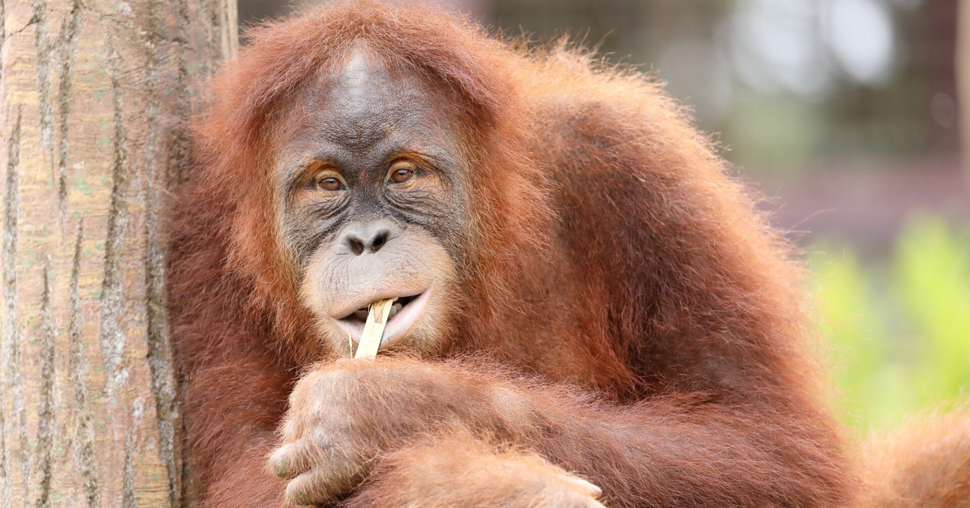 f426a2e108f7cf5f449fd9989357e1