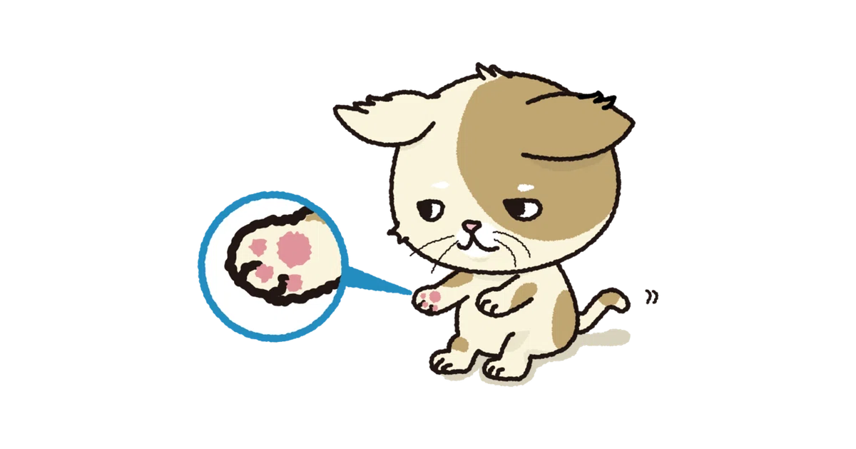 にゃーさんブチ