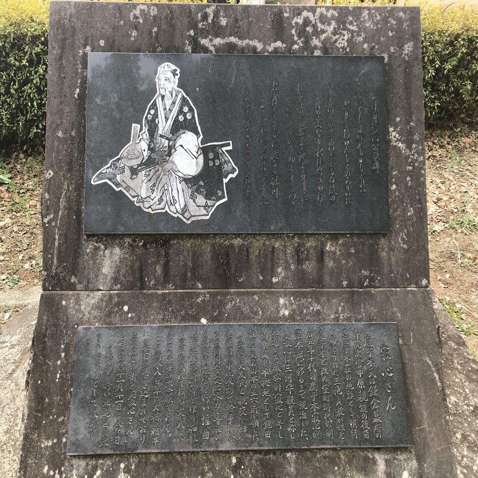 この木何の木❔寂心さんの樟🌲 【新•日本名木100選】｜Desert Rose