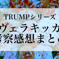 ヴェラキッカ考察感想1 初見感想 花言葉 時系列整理 Sii Note ヴェラキッカ考察感想1 初見感想 花言葉 時系列整理 Sii Note