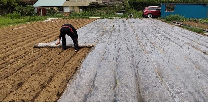 休耕地、遊休農地を再生させるための5つのステップ|REPOC FARM
