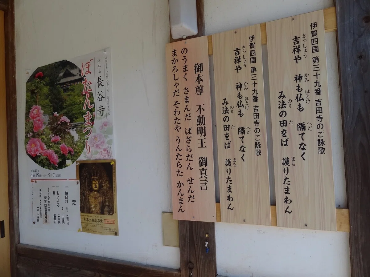 画像13