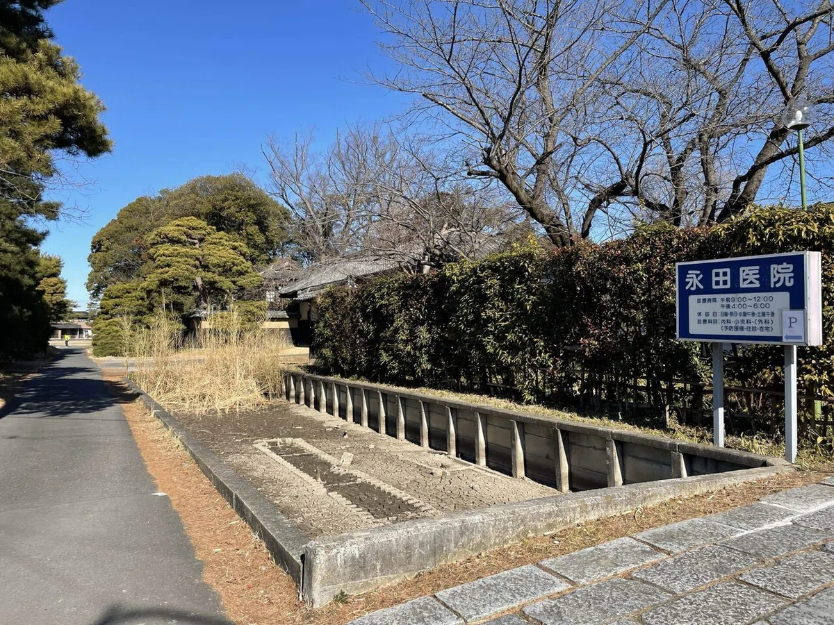 画像8