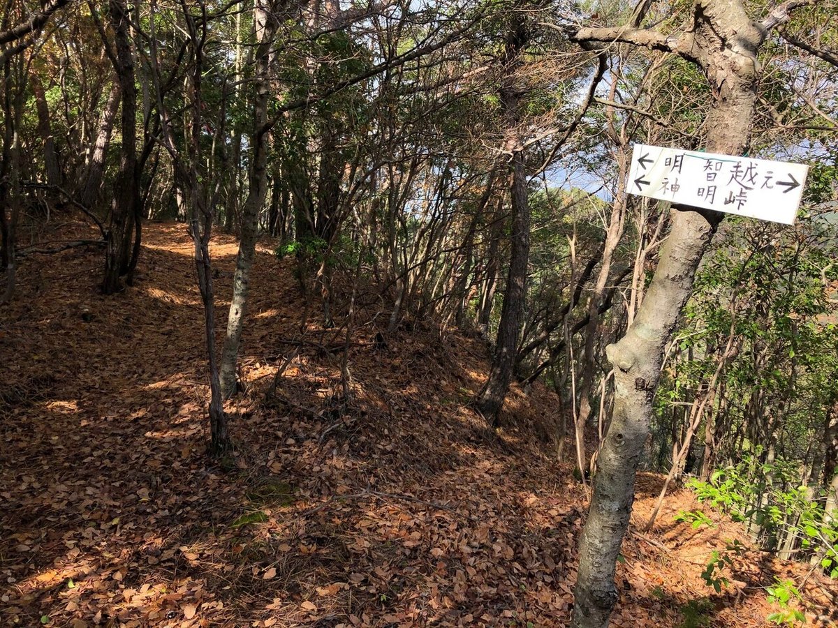 61_神明峠・尾根道