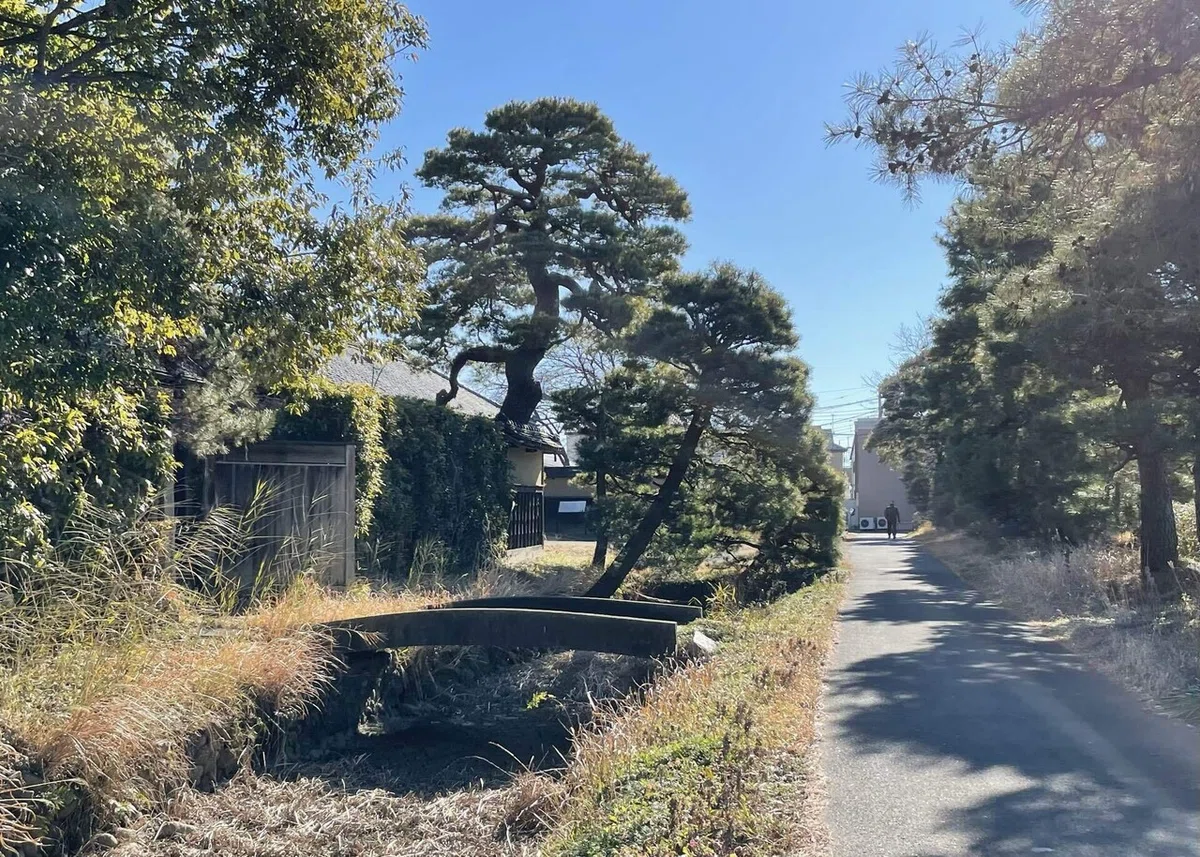 画像11
