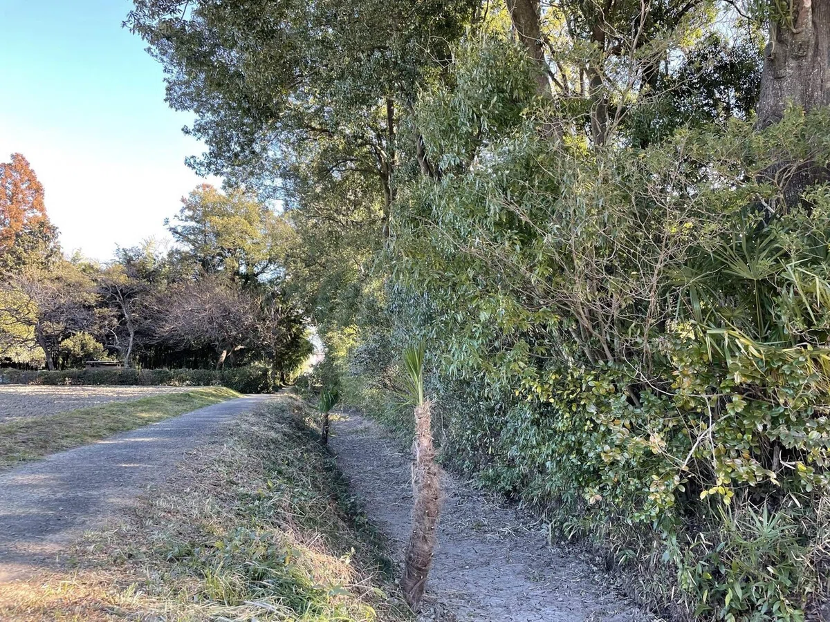 画像12