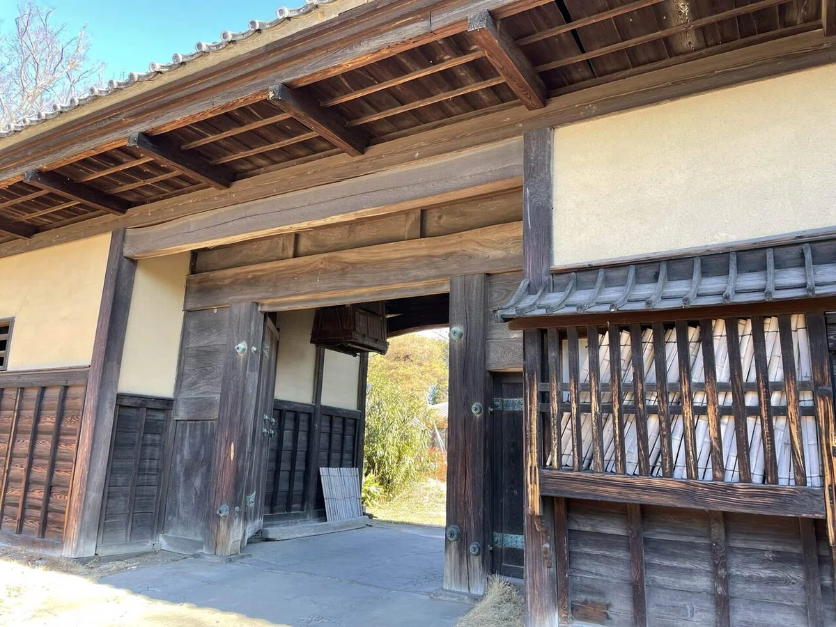 画像15