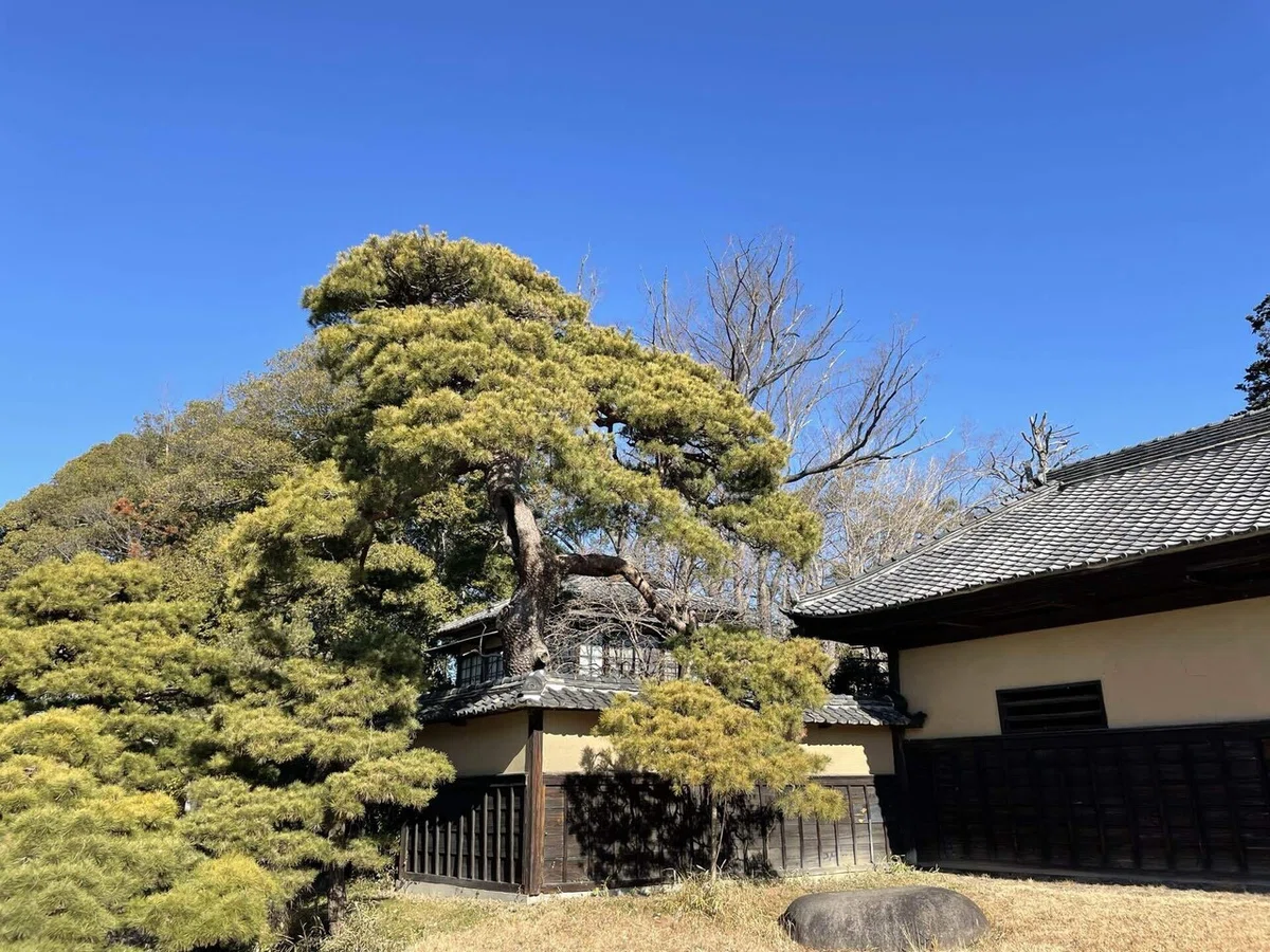 画像16