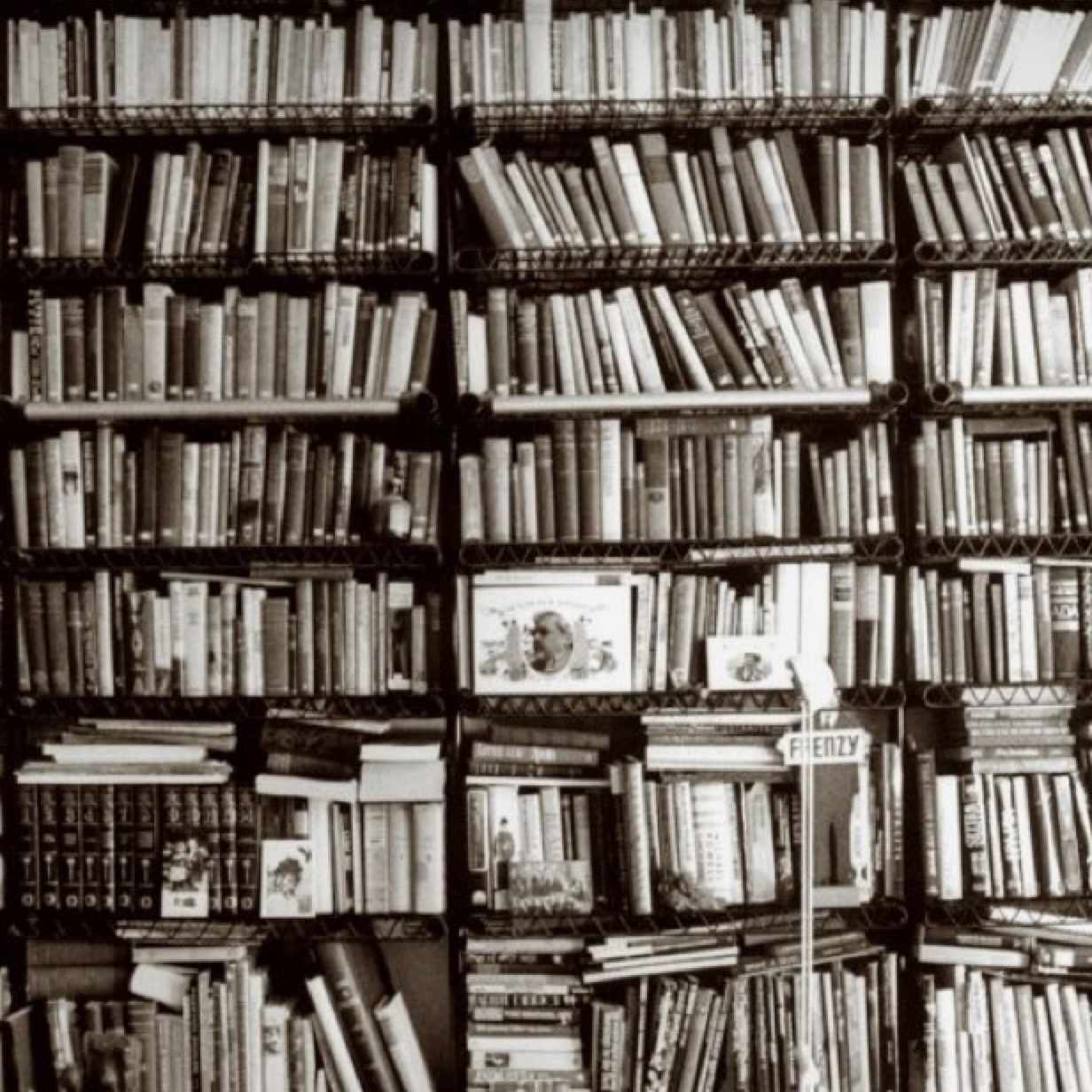 緋の城』 木崎さと子｜ミランヨンデラ