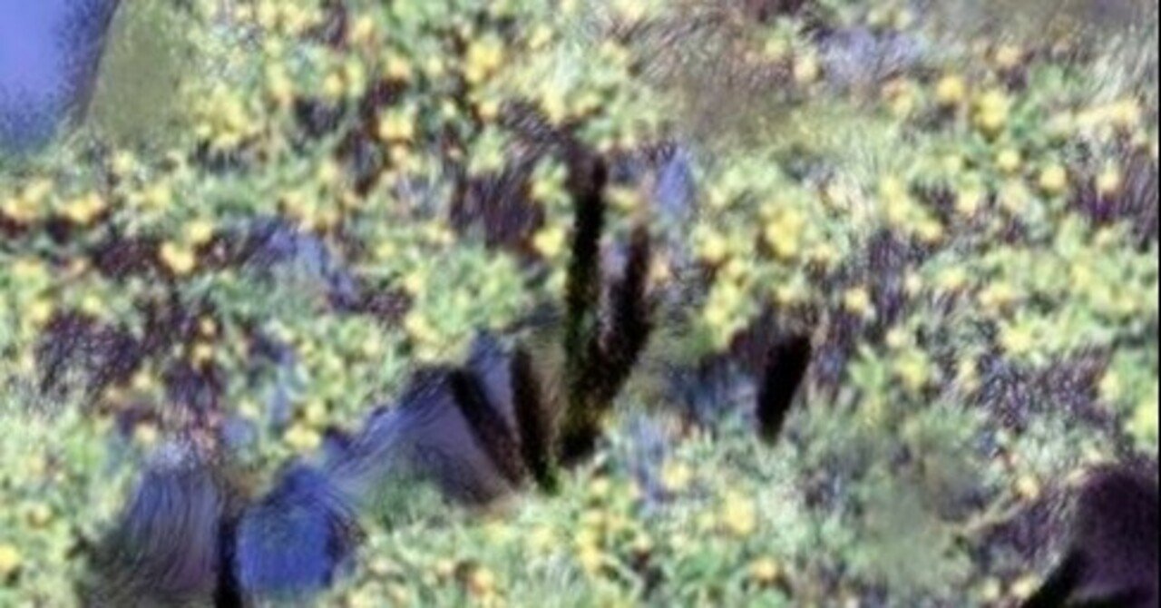 尾崎コミカン先祖木|🌞自然の魔法🌲|note