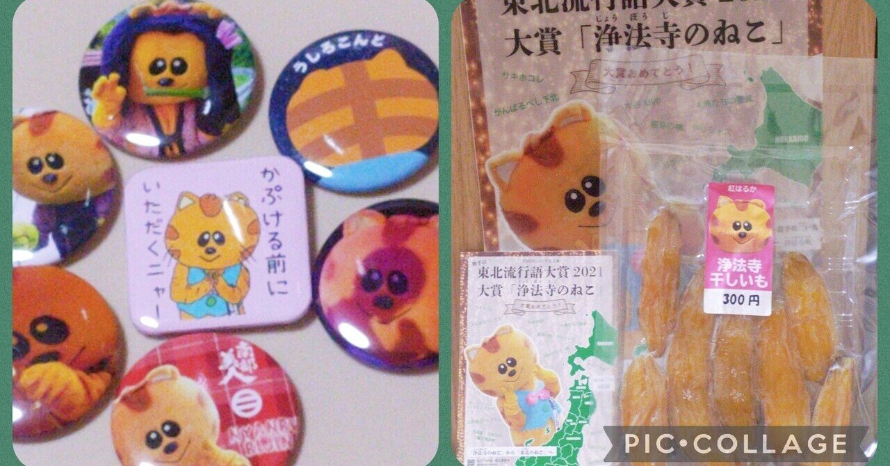 執筆後の話】これぞ｢猫の恩返し｣～書くことで繋がった縁｜鈴木千絵