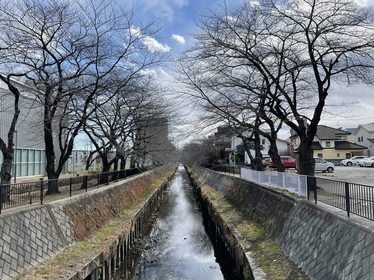 画像85