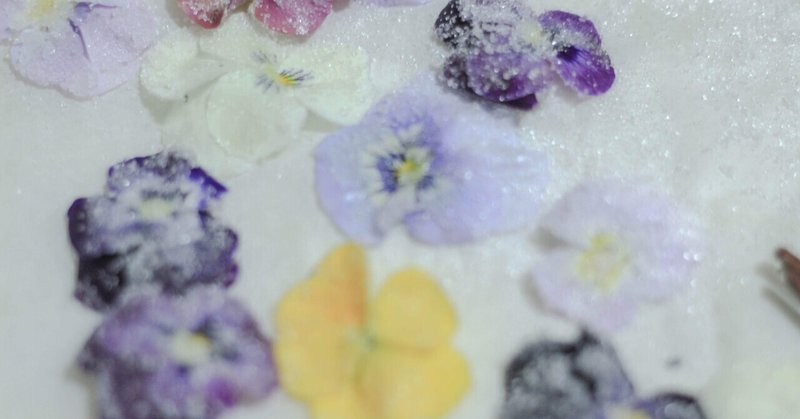 すみれの花の砂糖づけ の新着タグ記事一覧 Note つくる つながる とどける