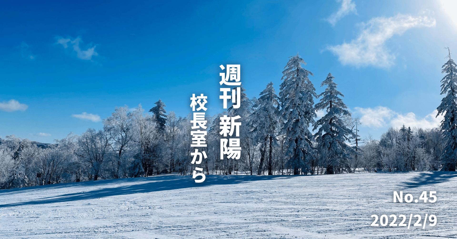 きっかけはなんでもいい 一歩踏み出す勇気が未来を拓く 週刊新陽 45 赤司展子 Note