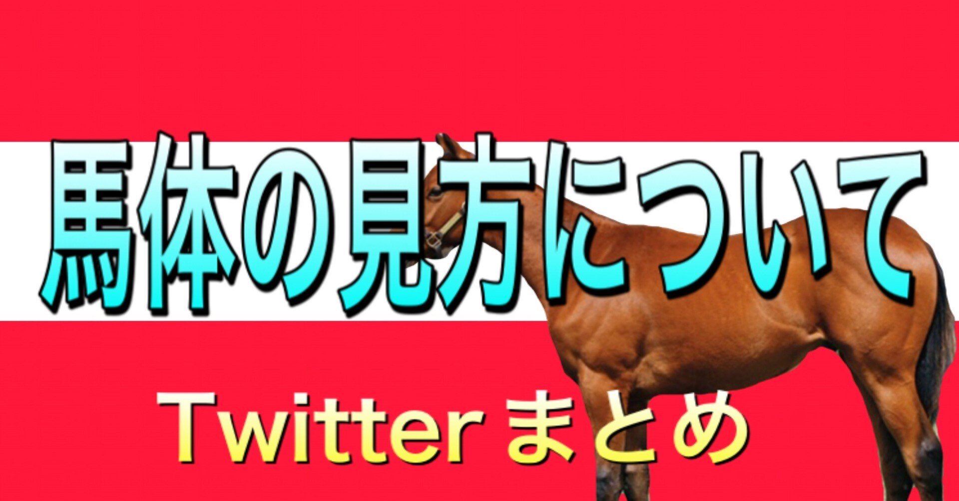馬体の見方 視点など 一口馬主 馬体 いっちゃんねる Note