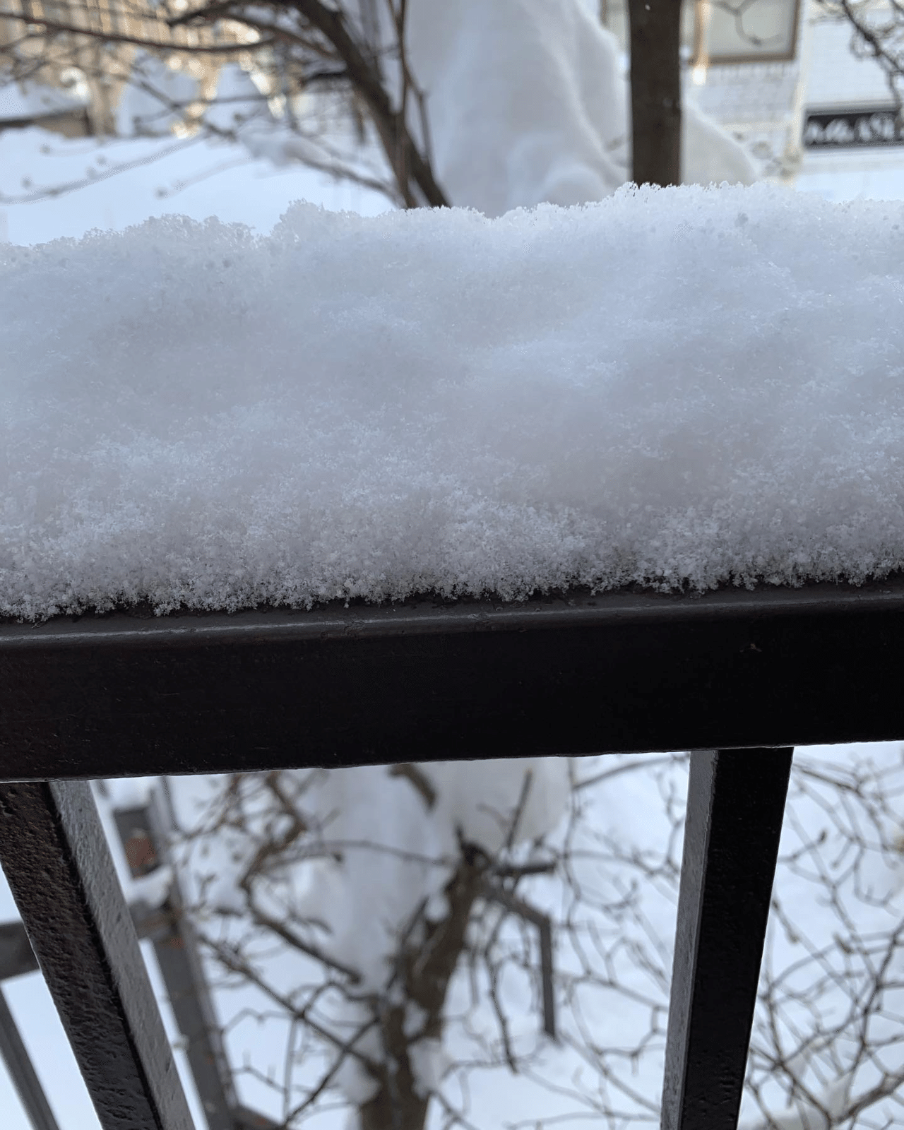 大雪の札幌 さっこ Note 大雪の札幌 さっこ Note