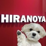 株式会社ヒラノヤ　ＳＮＳ担当のワンちゃん