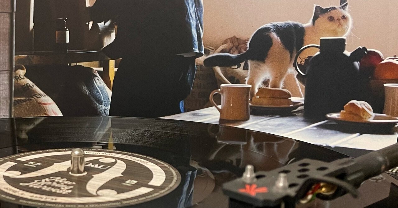 【別倉庫からの配送】 猫とレコード｜五辺宏明 洋楽