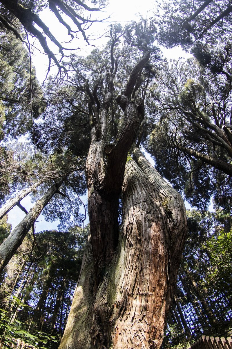 （リサイズ）20220128福岡のRyoと-0069（南阿蘇、幣立神社、昼）