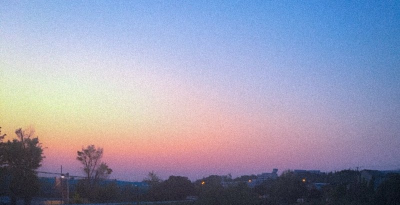 酒井駒子 の新着タグ記事一覧 Note つくる つながる とどける