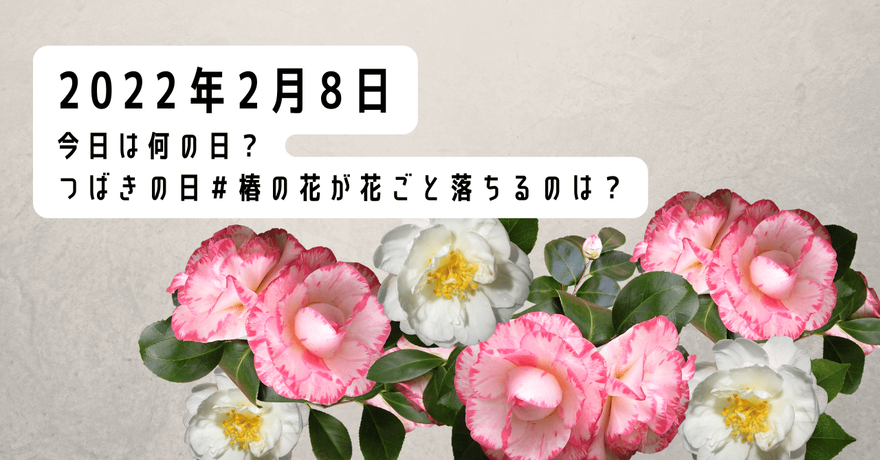 椿の花が花ごと落ちるのは 22年2月8日 つばきの日 Mariko マレーシアで暮らす猫と私と Note