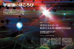 画像45