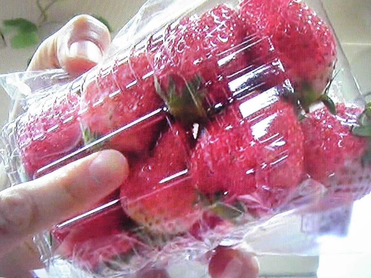 イチゴ裏