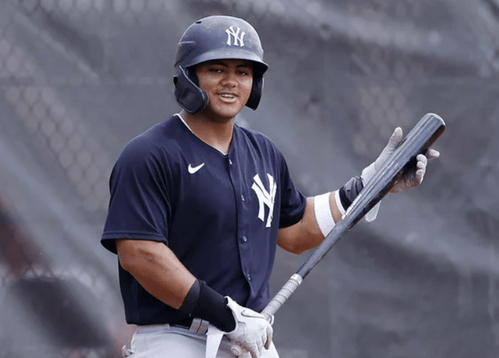 【MLB】 デビュー前で野球カード5470万円で落札 MLBのプロスペクトランキング17位でヤンキース傘下のジェイソン・ドミンゲスの野球カード