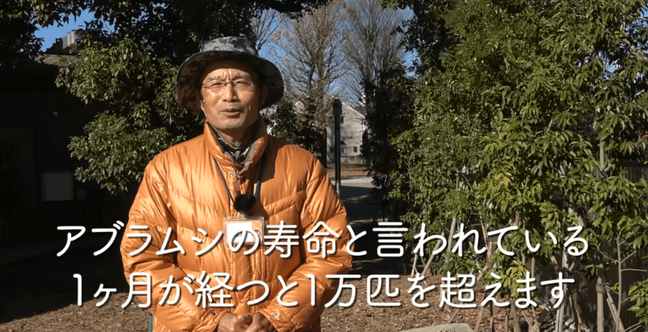 家庭菜園 お酢やコーヒーを使った害虫対策の紹介 井上寅雄農園 井上隆太朗 Note