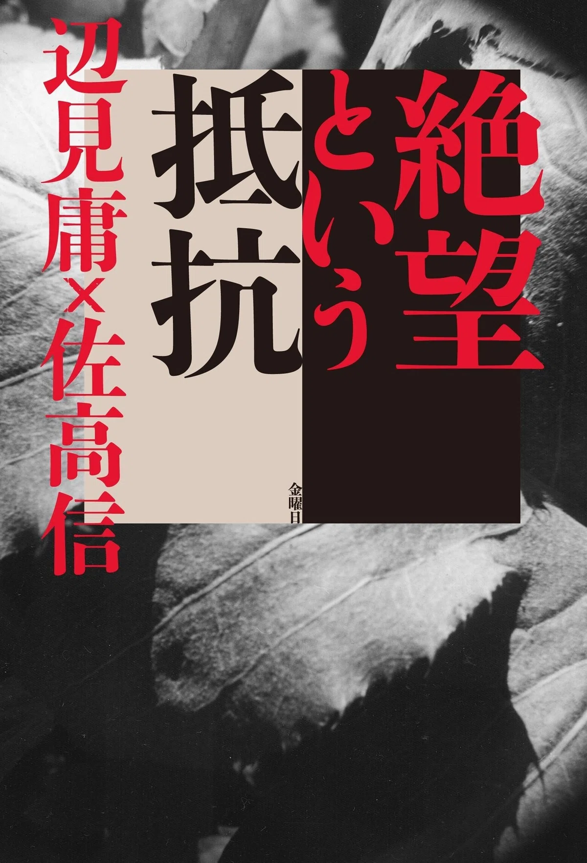 画像4