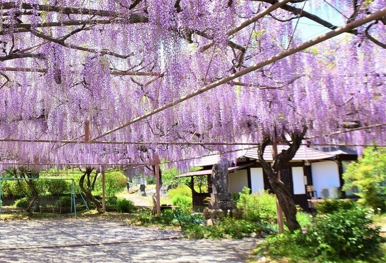 長昌寺