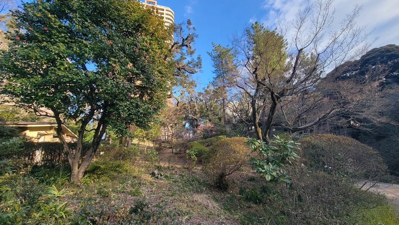 画像4を拡大表示