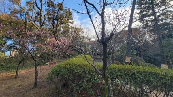 画像6を拡大表示