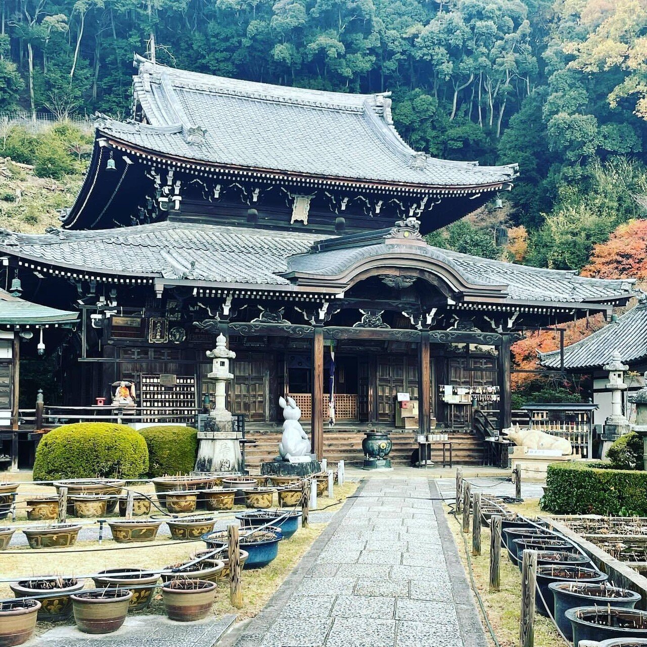 西国三十三所巡礼】第十番札所 三室戸寺｜キタハラ