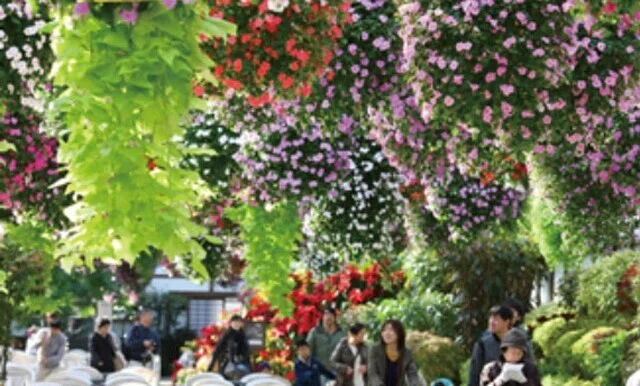 花の蕾が綻び始めるこの時季に知りたい 植物園の魅力｜ほんのひととき