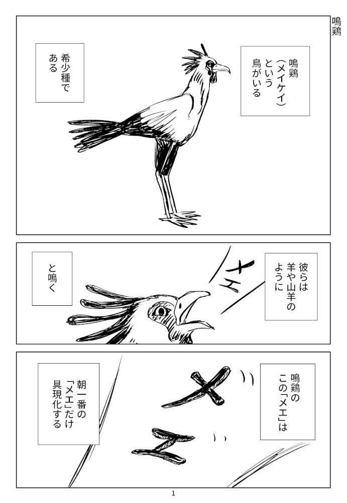 鳴鶏_001