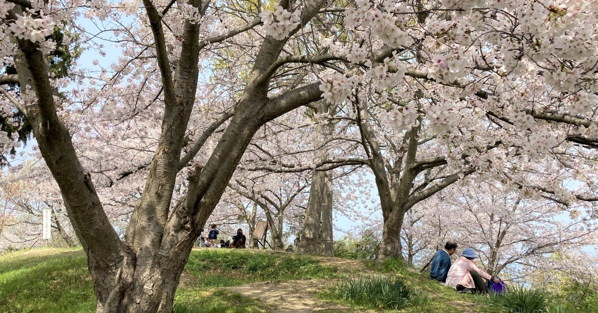 672803b70f9e4c74ee0c767062bf14