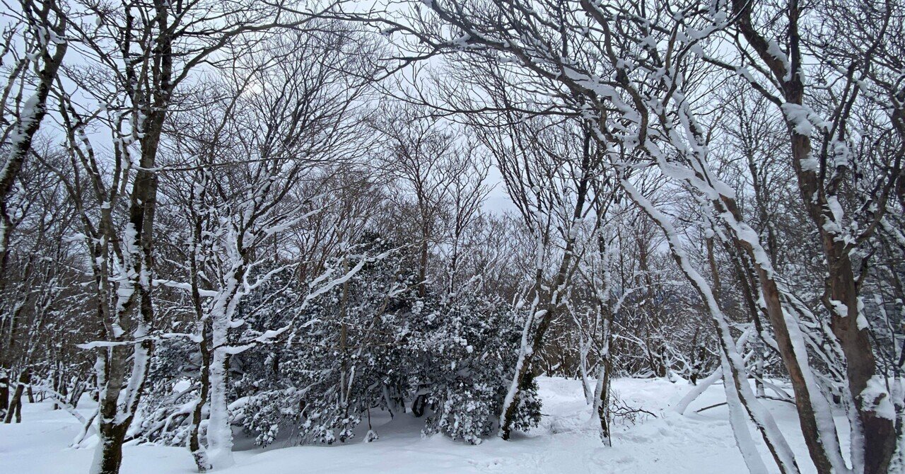 人気の雪山で霧氷まつり 三峰山 Mountain Go Note
