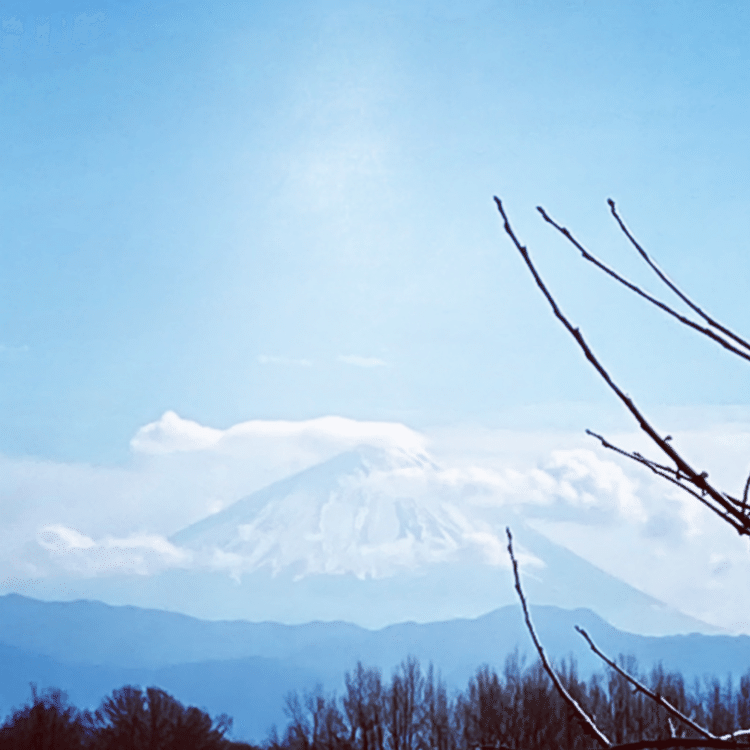 今日のお散歩#今日のお散歩#Snow#Fuji#yatsugatake#stroll#photo#写真好き#fineweather#photography#instagood