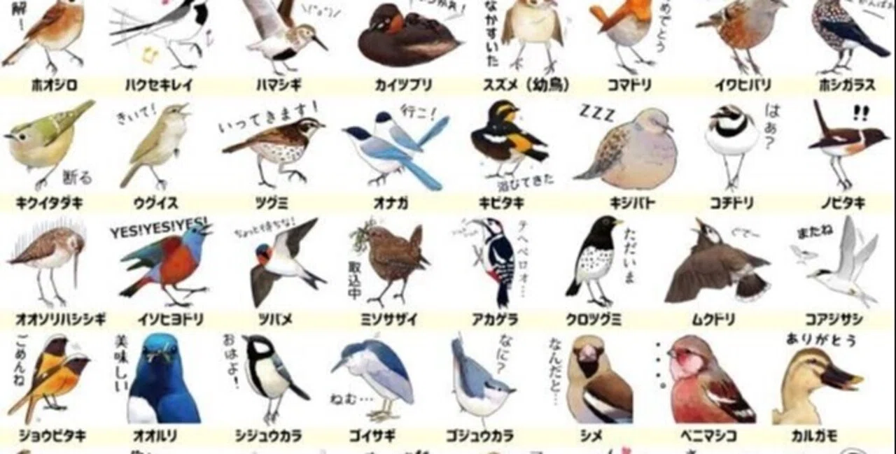 第1934回 日本の鳥と言っても｜翆野 大地