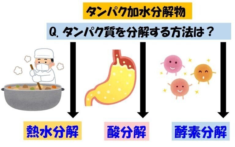 タンパク加水分解物　製造法による分類-768x480