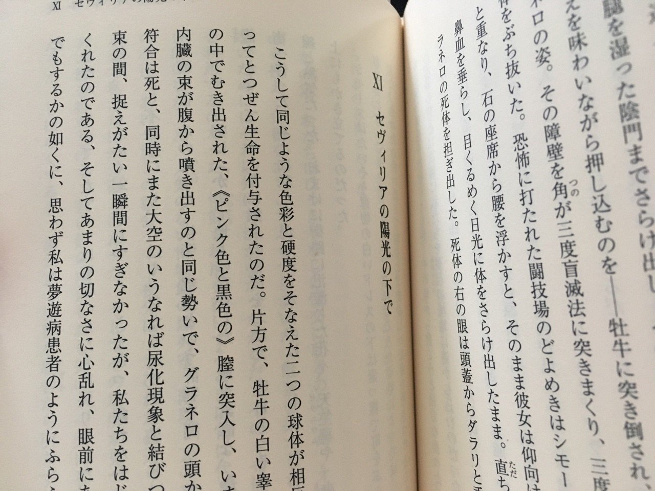 眼球譚／オーシュ卿（ジョルジュ・バタイユ）｜棚橋弘季 Hiroki