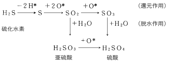 硫化水素の還元.脱水作用