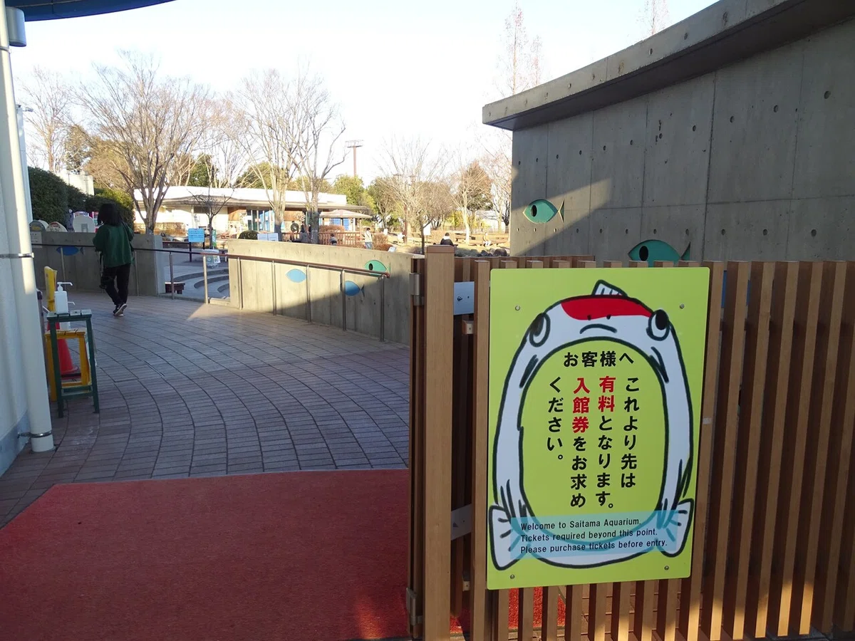 画像10
