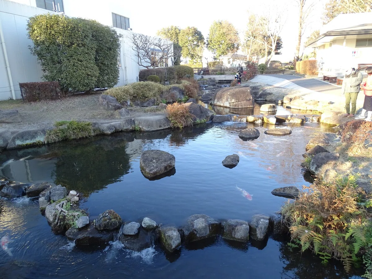 画像18