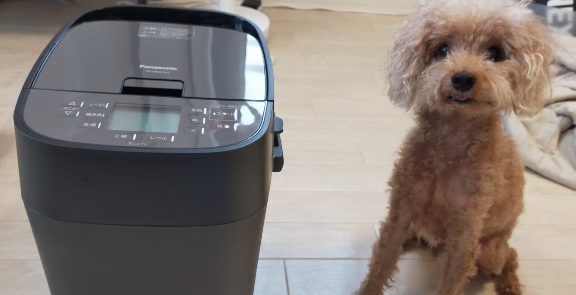 f84f180d4ac29d4ea0f13b36130f87